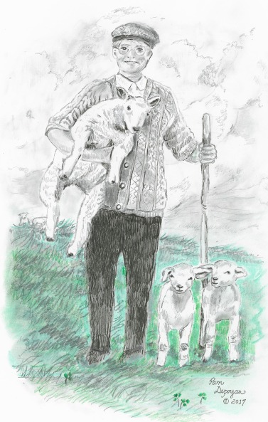 Irish Shepherd
